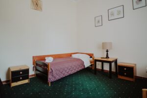 Zdjęcie przedstawia pokój noclegowy z łóżkiem